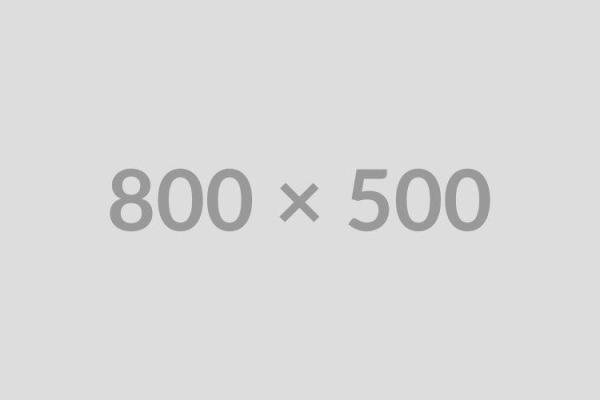 Lessons from My First Web Development Job